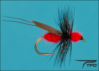 Ant Red Flying Dry fly fishing fly | TFO - Temple Fork Outfitters Canada