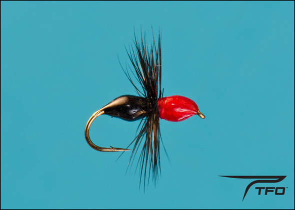 Ant Epoxy - Black/Red Dry fly fishing fly | TFO - Temple Fork Outfitters Canada