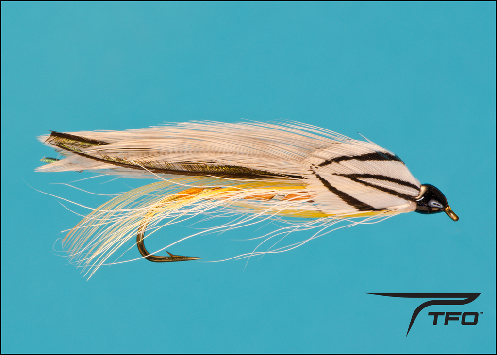 Grey Ghost Streamer Fly Print, watercolor, unique fishing gift
