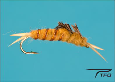 Kaufmann's Stone - Golden Fly fishing nymph | TFO - Temple Fork Outfitters Canada