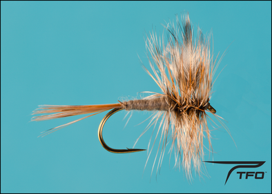 Adams Dry Fly fishing fly, TFO - Temple Fork Outfitters Canada