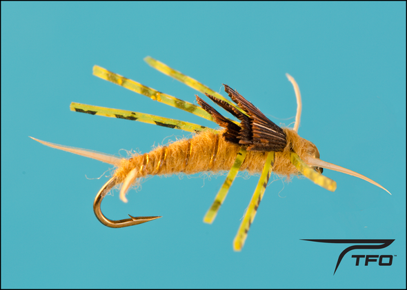 Beadhead rubber leg golden stonefly nymph | TFO - Temple Fork Outfitters Canada