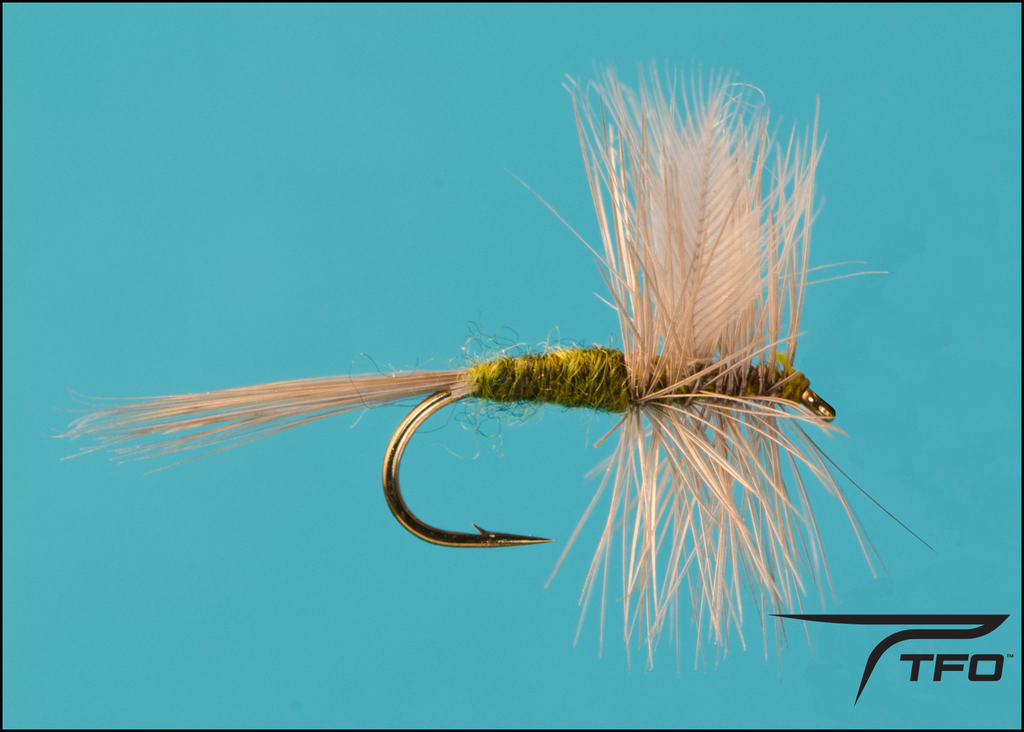 Blue Wing Olive Dry Fly