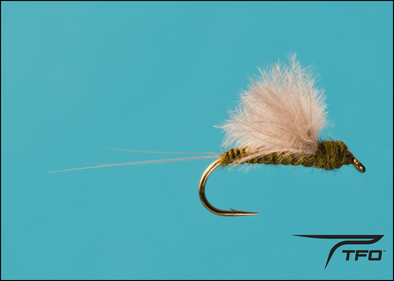 CDC Floating Nymph B.W.O.. | TFO - Temple Fork Outfitters Canada