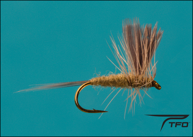 Thorax Blue Wing Olive | TFO - Temple Fork Outfitters Canada