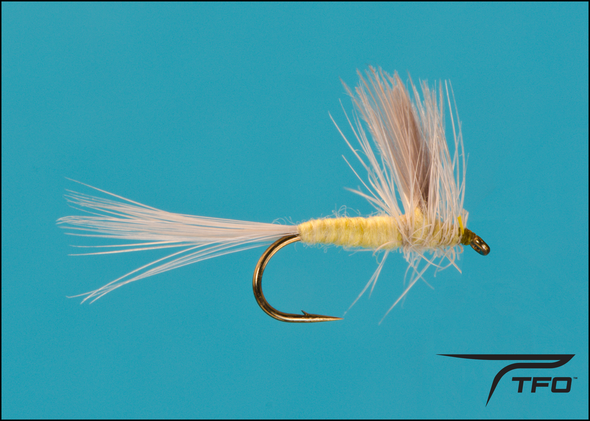 Thorax Pale Morning Dun | TFO - Temple Fork Outfitters Canada
