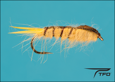 Alberta Stone fly fishing nymph, TFO - Temple Fork Outfitters Canada
