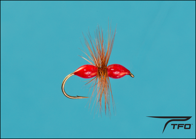 Ant Epoxy - Red Dry fly fishing fly | TFO - Temple Fork Outfitters Canada