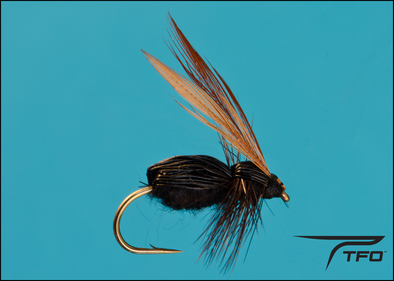 Ant Mike's Carpenter Dry fly fishing fly | TFO - Temple Fork Outfitters Canada