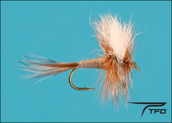 Bastard Adams Dry fly fishing fly | TFO - Temple Fork Outfitters Canada
