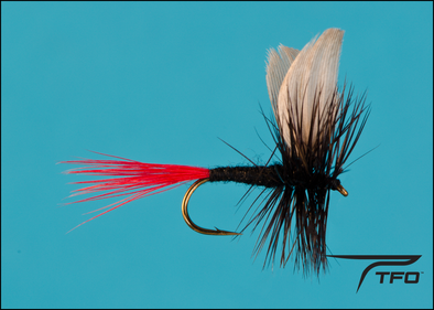 Black Gnat Red Tail | TFO - Temple Fork Outfitters Canada