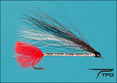 Black noise Dace | TFO - Temple Fork Outfitters Canada