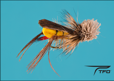 Hopper Dave s Yellow