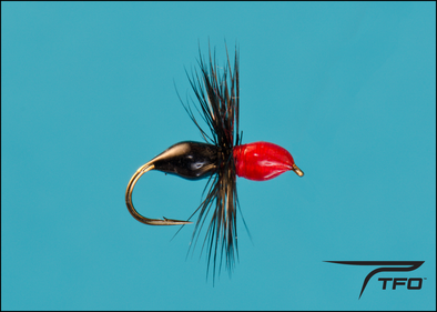 Ant Epoxy - Black/Red Dry fly fishing fly | TFO - Temple Fork Outfitters Canada