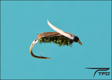 Backswimmer Peacock Fly fishing nymph | TFO - Temple Fork Outfitters Canada