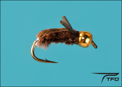 Beadhead Backswimmer Fly fishing nymph | TFO - Temple Fork Outfitters Canada