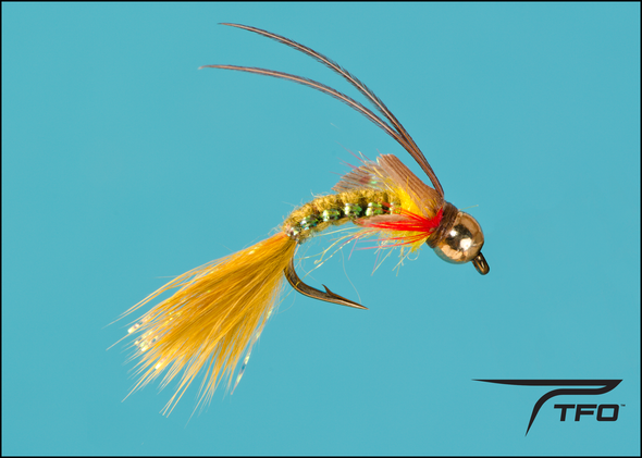 Beadhead Caddis Olive Fly fishing nymph | TFO - Temple Fork Outfitters Canada