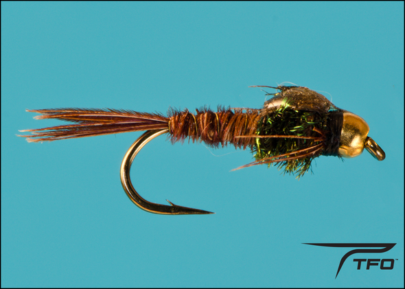 Beadhead Pheasant Tail | TFO - Temple Fork Outfitters Canada