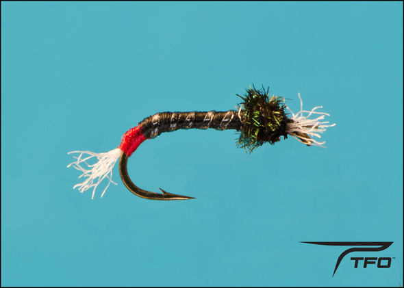 Red Tip Chironomid | TFO - Temple Fork Outfitters Canada