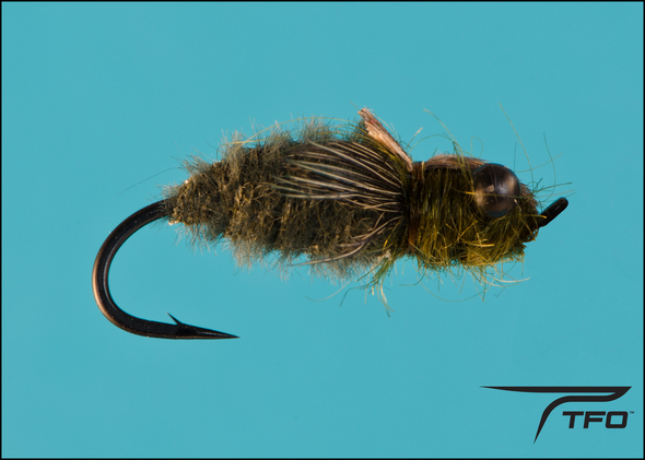 Brents Dragon Olive | TFO - Temple Fork Outfitters Canada