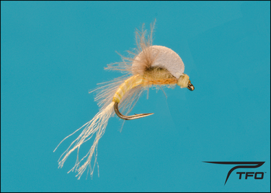 Emerger Ephemerella | TFO - Temple Fork Outfitters Canada