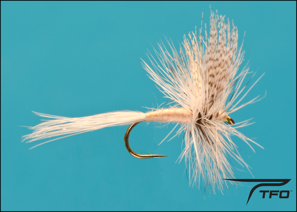 Grey Fox | TFO - Temple Fork Outfitters Canada