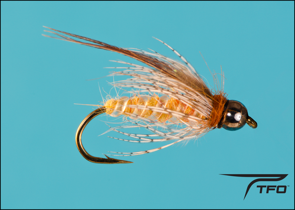Beadhead Deep October Caddis Pupa Nymph Fly fishing nymph | TFO - Temple Fork Outfitters Canada