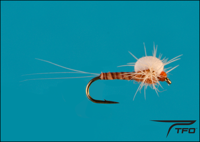 Spinner Ko(Knock Out) Rusty | TFO - Temple Fork Outfitters Canada