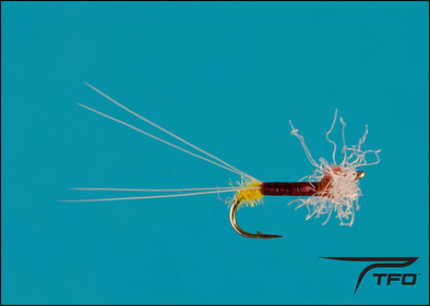 Spinner Rusty With Egg Sac | TFO - Temple Fork Outfitters Canada