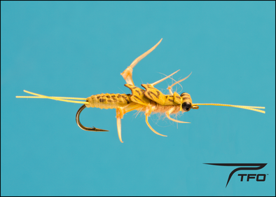Stonefly Nymph  Realistic Golden | TFO - Temple Fork Outfitters Canada
