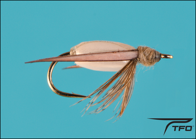 Water Boatman Bead Body | TFO - Temple Fork Outfitters Canada